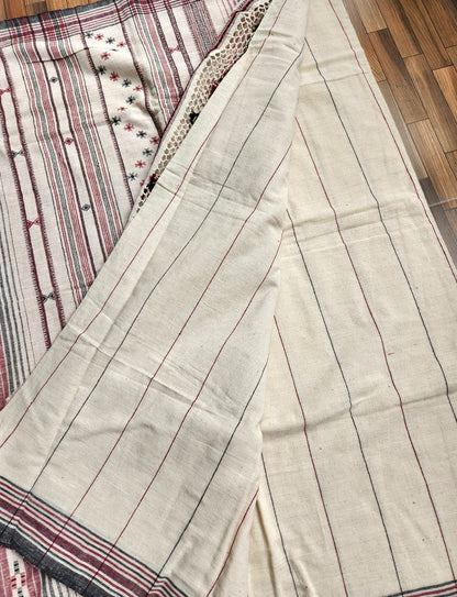 Handloom Bhujodi cotton saree officewear summer wardrobe kutch saree kutchi bharat