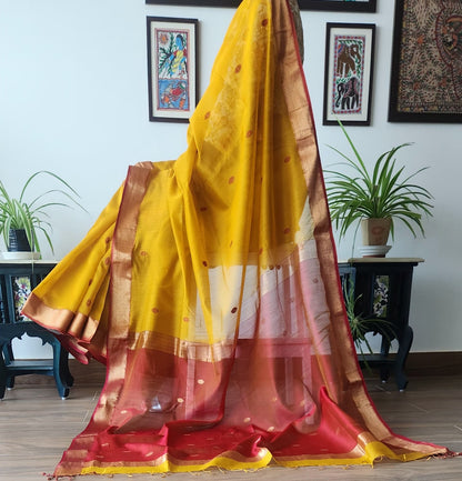 Maheshwari Handloom Saree