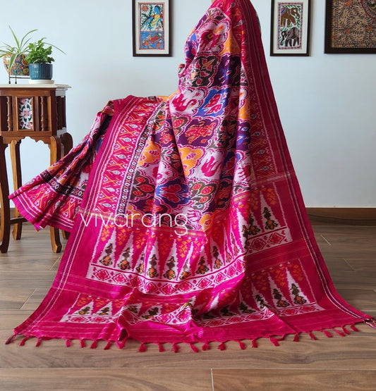 IKAT PATOLA SILK SAREE