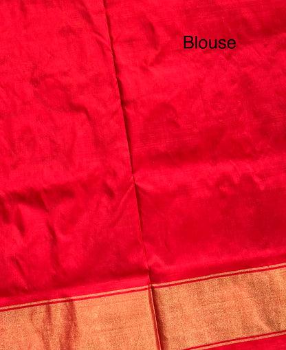 IKAT PATOLA SILK SAREE